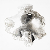 shell1